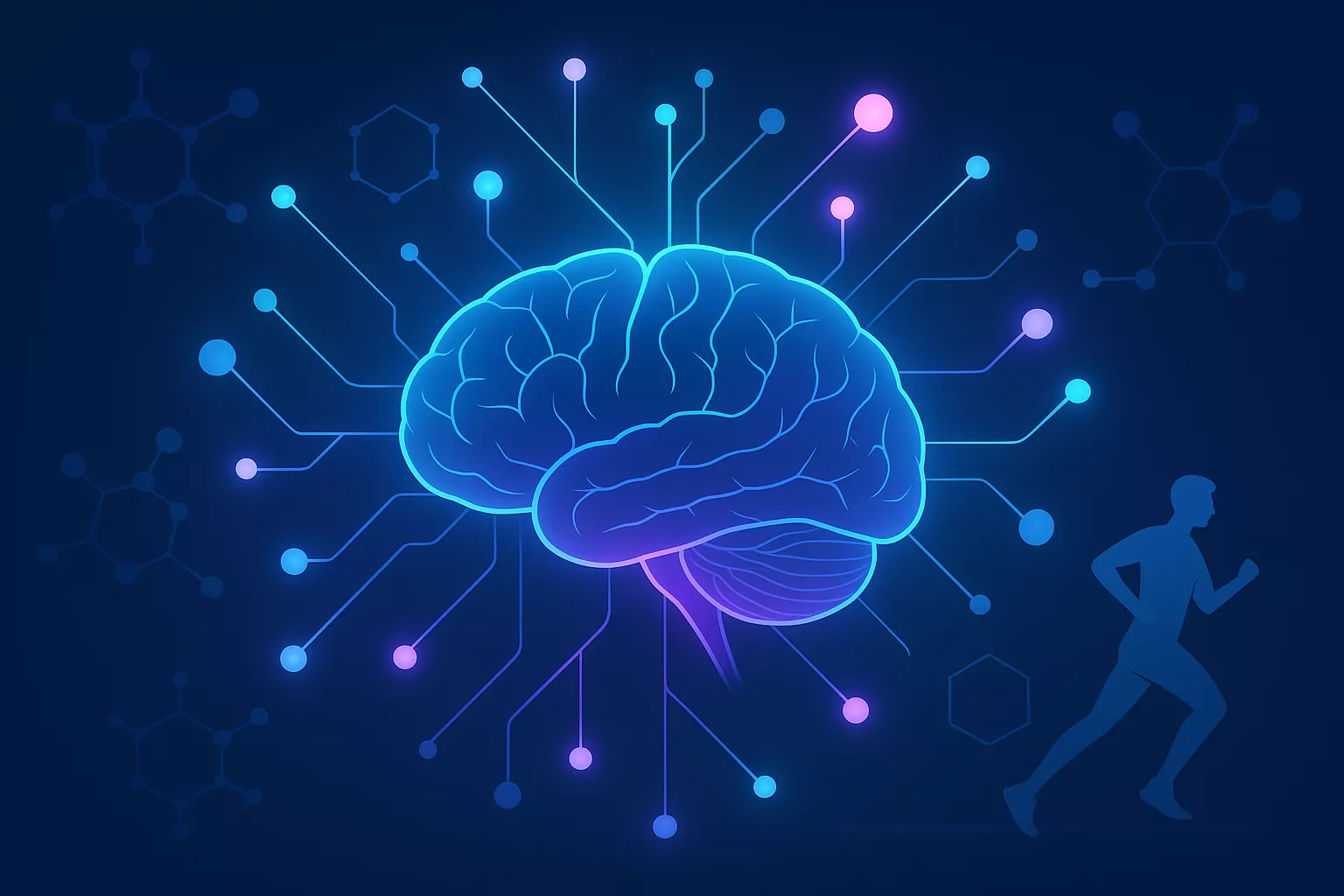 Adamax peptyd – nowy peptyd w neurobiologii